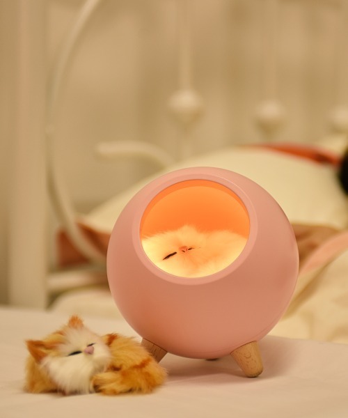 セール】リトルペットハウスライト（照明）｜entre square（アントレ