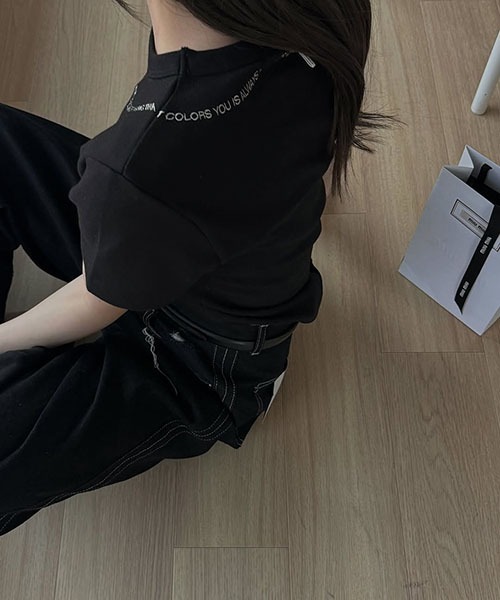 トップス WILLFULLY 10th embroidery logo pack T WILLFULLY（ウィルフリー）の「WILLFULLY 10th embroidery logo