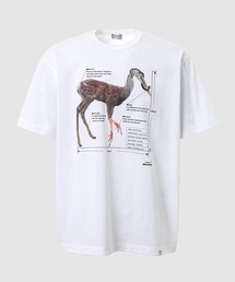 kolor BEACON（カラービーコン）の「22WBM-T04237（Tシャツ/カットソー