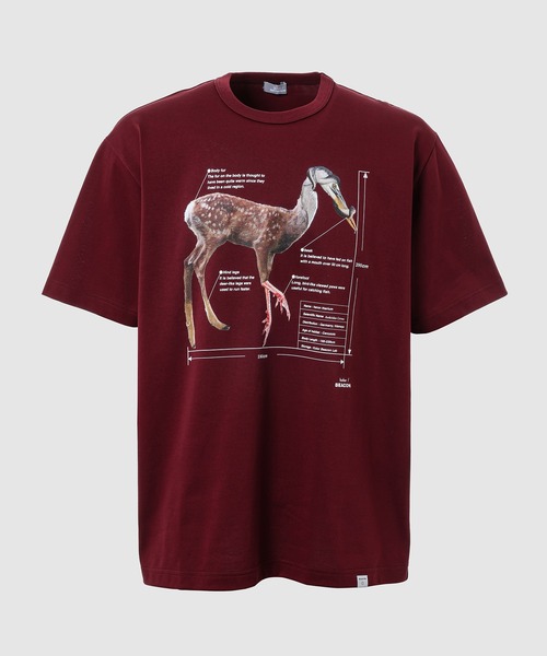 kolor BEACON（カラービーコン）の「25WBM-T05233（Tシャツ/カットソー・メンズ・ブラック/ボルドー/ホワイト・3/2）」の3枚目の写真