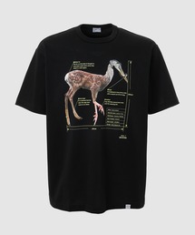 kolor / BEACON カラービーコン tee kolor BEACON（カラービーコン）25WBM-T09235 shirt L/Sの通販