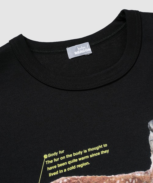 kolor BEACON（カラービーコン）の「25WBM-T05233（Tシャツ/カットソー・メンズ・ブラック/ボルドー/ホワイト・3/2）」の5枚目の写真