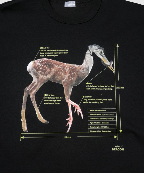 kolor BEACON（カラービーコン）の「25WBM-T05233（Tシャツ/カットソー・メンズ・ブラック/ボルドー/ホワイト・3/2）」の6枚目の写真