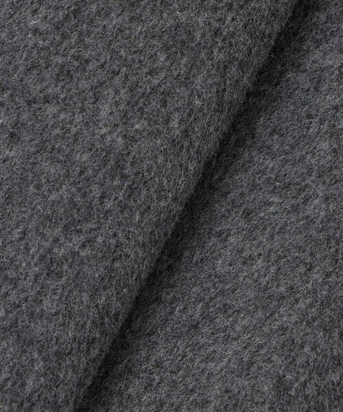 シャルムリバービッグカラーコート（その他アウター）｜ANAYI（アナイ