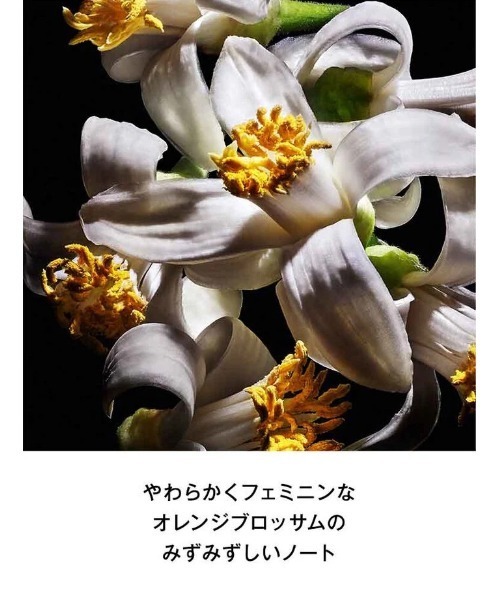 YSL オーナメントセット（香水・フレグランスキット/ギフトセット