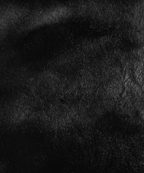 Afternoon Tea（アフタヌーンティー）の「パール付きフェイクファーティペット（マフラー・レディース・ベージュ/ブラック・ONE SIZE）」の5枚目の写真