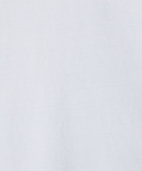 JAMES PERSE(ジェームスパース)の「ベーシック クルーネックTシャツ WLJ3114(Tシャツ/カットソー・レディース・ライトブルー/ダークブラウン・0/1)」の11枚目の写真