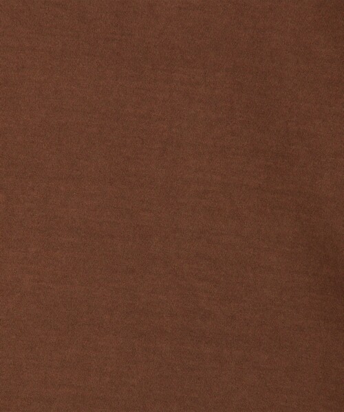JAMES PERSE(ジェームスパース)の「ベーシック クルーネックTシャツ WLJ3114(Tシャツ/カットソー・レディース・ライトブルー/ダークブラウン・0/1)」の12枚目の写真