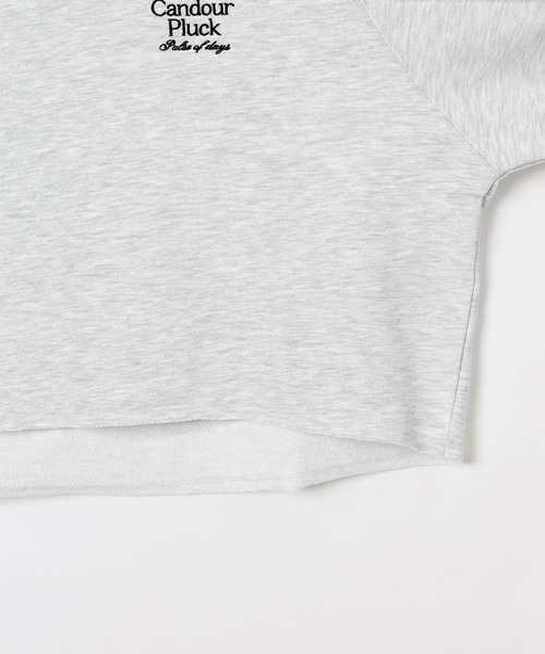 LEPSIM(レプシィム)の「ショート刺繍裏毛プルオーバー 645480(スウェット・レディース・ネイビー/ライトグレー/アイボリー・FREE)」の16枚目の写真