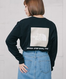 日本未発売 THE NORTH FACE/ザ・ノースフェイス M L/S BOX NSE TEE ロゴロンT 長袖 カットソー
