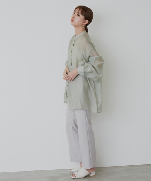 Aunt Marie's（アントマリーズ）の「バルーンスリーブシアーシャツ（シャツ/ブラウス・レディース・ブラック/ブラウン/ライトグリーン・FREE）」の4枚目の写真