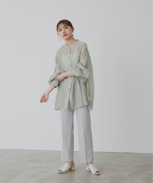 Aunt Marie's（アントマリーズ）の「バルーンスリーブシアーシャツ（シャツ/ブラウス・レディース・ブラック/ブラウン/ライトグリーン・FREE）」の9枚目の写真