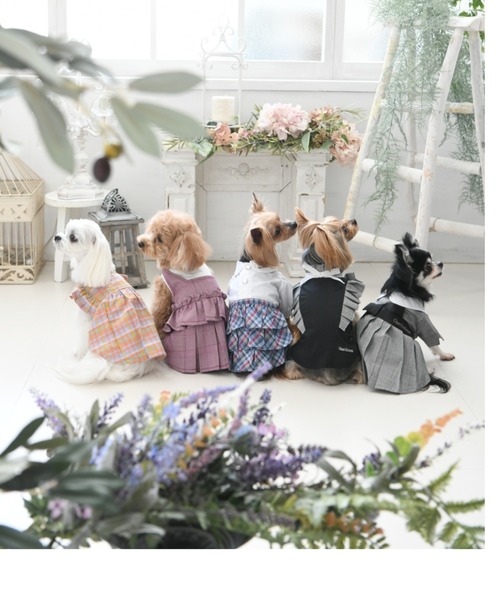 One Octave(ワンオクターヴ)の「One Octave/ワンオクターヴ/チェックフリルセット/犬服(ドッグウェア)(ペットウェア・レディース・レッド/グレー・2L/XS/S/2M/M/L)」の5枚目の写真