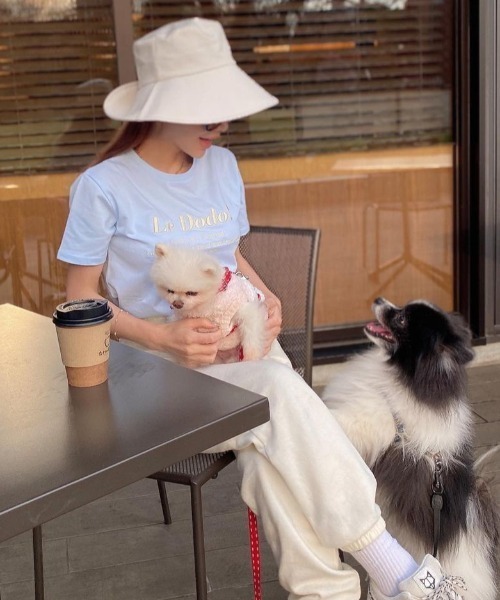 EIMY ISTOIRE(エイミーイストワール)の「コンパクトロゴTシャツ(Tシャツ/カットソー・レディース・ホワイト/サックスブルー/グリーン系その他/コーラルピンク・FREE)」の5枚目の写真