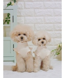 tone（トーン）の「【poteco】【再入荷】【大人気】フリルリブタンクトップ/犬服(ドッグウエア)(SU)（ペットウェア）」