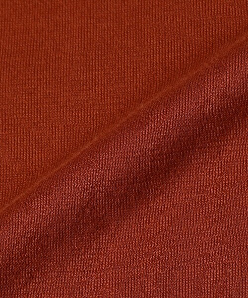 JOHN SMEDLEY(ジョンスメドレー)の「JOHN SMEDLEY / SYRES コットン スキッパーポロシャツ(ポロシャツ・メンズ・ダークブラウン/インディゴブルー/オレンジ系その他6・MEDIUM/LARGE/SMALL)」の12枚目の写真