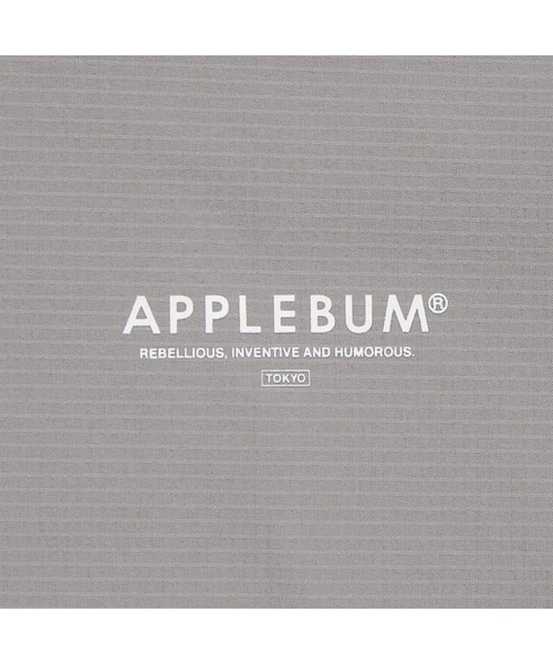 APPLEBUM(アップルバム)の「Phisical Training T-shirt(Tシャツ/カットソー・メンズ・ブラック/グレー/ライトグリーン/ネイビー・LARGE/MEDIUM/X-LARGE)」の20枚目の写真