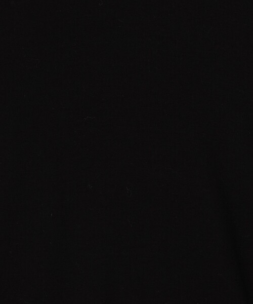 MACPHEE(マカフィー)の「シアージャージーコンビ ラウンドネックプルオーバー(Tシャツ/カットソー・レディース・ホワイト/ブラック・S)」の10枚目の写真