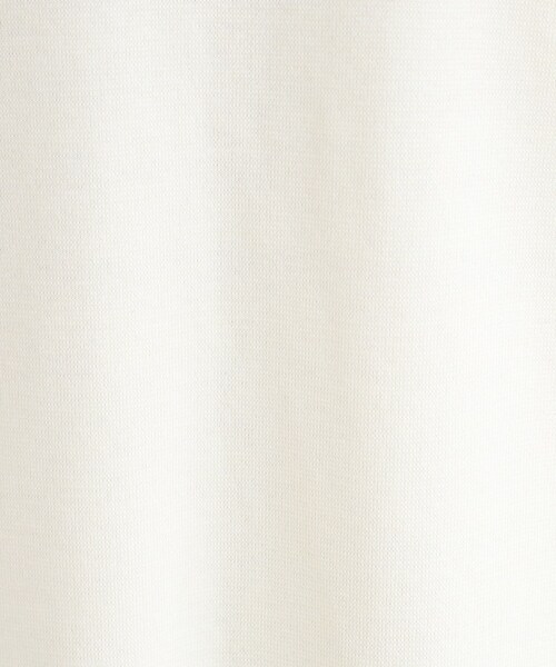 INDIVI(インディヴィ)の「◆【洗える/パール調ボタン】ストレートニットワンピース(ワンピース・レディース・ベージュ/ブルー系その他/オフホワイト・38/36/05/13/15 /19)」の10枚目の写真