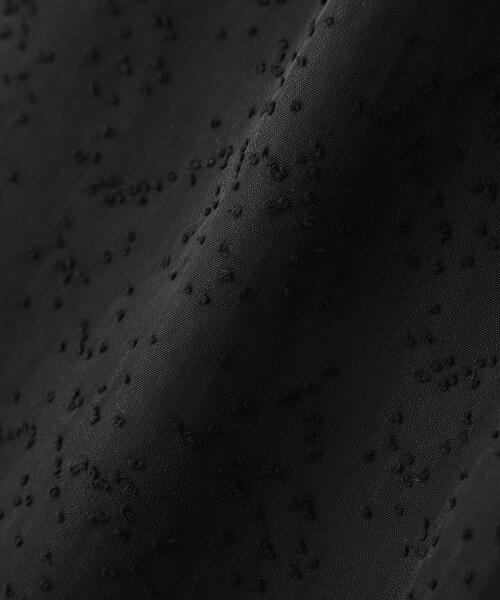 N.(N. Natural Beauty Basic)(エヌエヌナチュラルビューティーベーシック)の「◆シアージャガードイージーパンツ(スラックス・レディース・ブラック/オフホワイト・MEDIUM)」の16枚目の写真