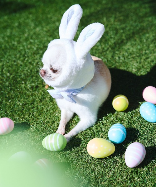 ROPE' PICNIC(ロペピクニック)の「【DOG】イースターうさぎ犬(ペットウェア・レディース・オフホワイト・FREE)」の7枚目の写真