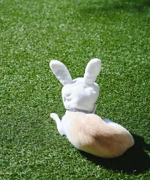 ROPE' PICNIC(ロペピクニック)の「【DOG】イースターうさぎ犬(ペットウェア・レディース・オフホワイト・FREE)」の8枚目の写真