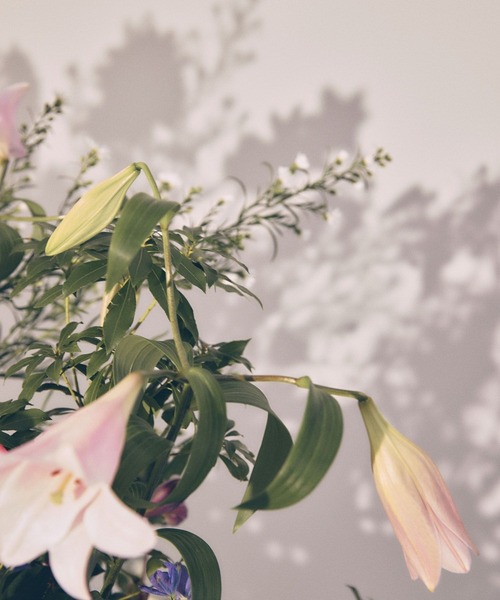 VIS(ビス)の「【DILIGENCE PARLOUR】VIS別注モデルフラワーロゴスウェット【セットアップ対応】(スウェット・レディース・ネイビー/ブルー系その他6/イエロー・FREE)」の12枚目の写真