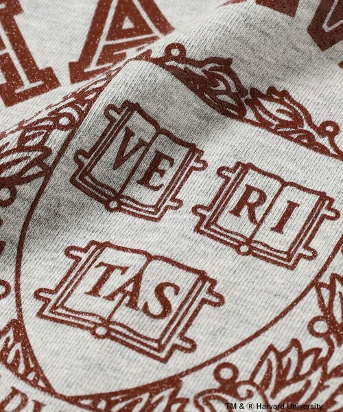 Russell Athletic(ラッセルアスレティック)の「RUSSELL ATHLETIC / スリーブレス ワンピース(S~M)(ワンピース・レディース・チャコールグレー/ネイビー/ライトグレー・MEDIUM/SMALL)」の13枚目の写真