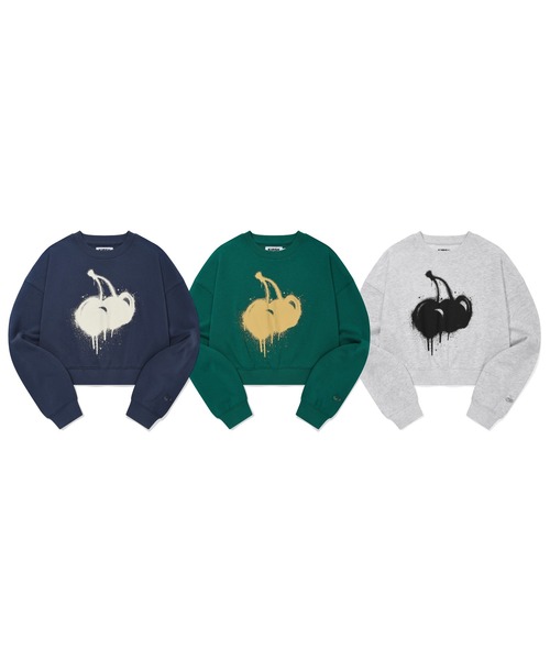 KIRSH(キルシー)の「KIRSH MELTING CHERRY PRINTED CROP SWEATSHIRT キルシー メルティング チェリー プリント クロップ丈 スウェット(スウェット・レディース・ネイビー/グレー/ダークグリーン・ONE SIZE)」の18枚目の写真