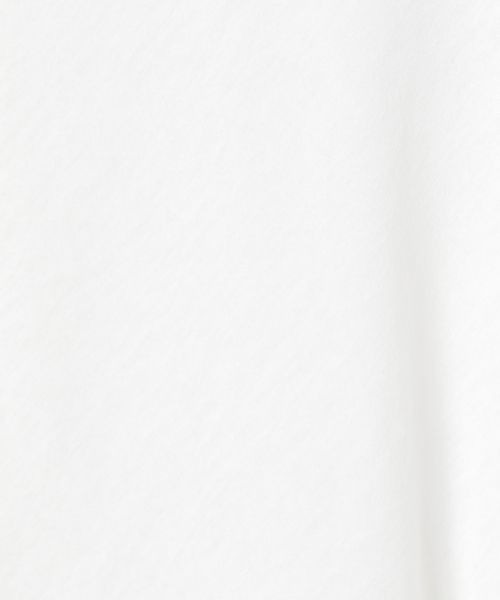 JEANASIS（ジーナシス）の「シアーテンジクロンTEE/414168（Tシャツ/カットソー・レディース・ホワイト/ライトブルー/ブラック・FREE）」の11枚目の写真