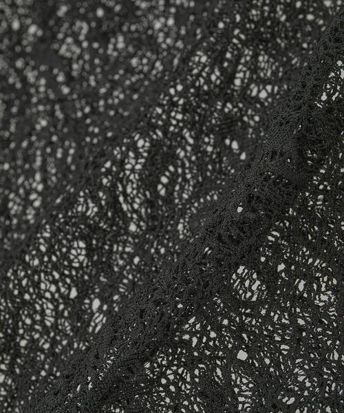 earth music&ecology（アースミュージックアンドエコロジー）の「ストレッチレースシャツ（シャツ/ブラウス・レディース・アイボリー/ブラウン/ブラック・FREE）」の17枚目の写真