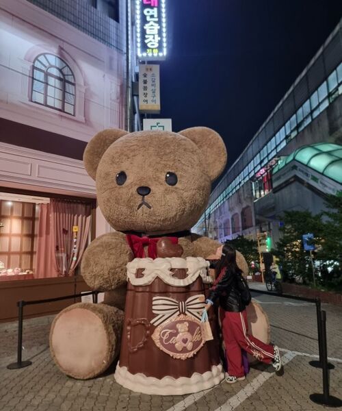 GAKKAI UNIONS(ガッカイユニオンズ)の「スパークルナイロンラインパンツレッド(スウェットパンツ・レディース・その他・SMALL/MEDIUM/LARGE)」の11枚目の写真
