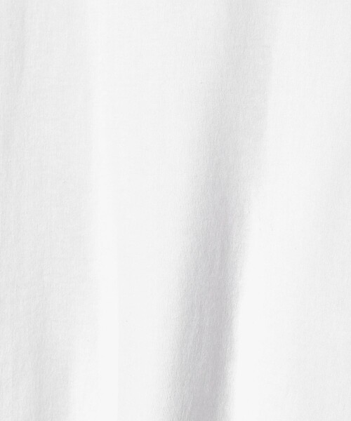 upperhights(アッパーハイツ)の「<upper hights × conte> シアー クルーネックTシャツ(Tシャツ/カットソー・レディース・ブラック/ホワイト/ブラウン系・FREE)」の10枚目の写真