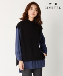 【WEB限定カラーあり・洗える】AZALEA ニットベスト