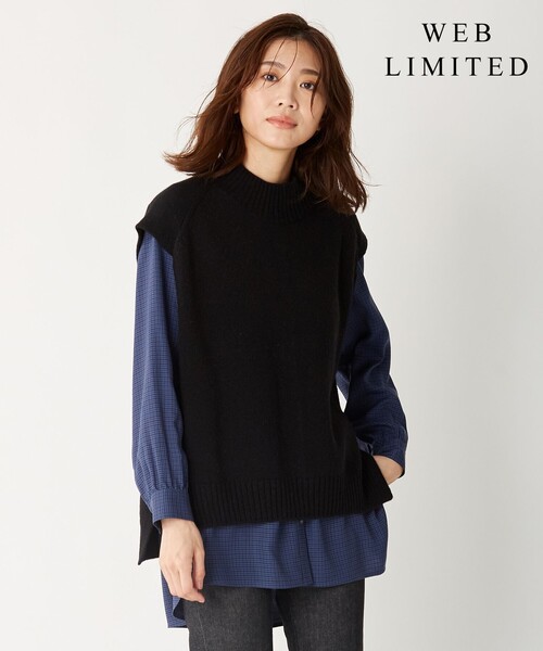J.PRESS(ジェイプレス)の「【WEB限定カラーあり・洗える】AZALEA ニットベスト(ベスト・レディース・サックスブルー系/ブラック系/グレー系/ブラウン系/ベージュ系・T15/T13)」の1枚目の写真