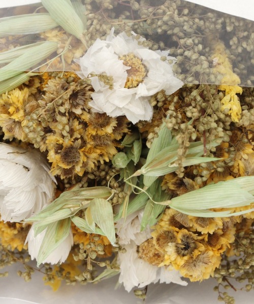 niko and...(ニコアンド)の「ドライフラワーブーケS(インテリア雑貨・レディース・その他1/その他2/その他3/その他4・0)」の8枚目の写真