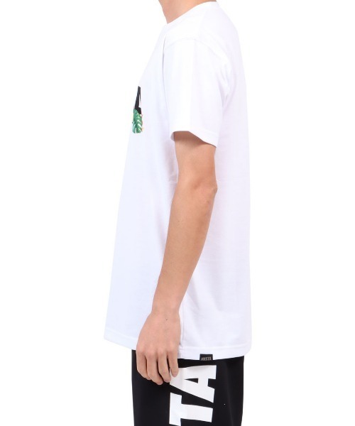NESTA BRAND(ネスタブランド)の「JPN加工DRYボタニカルTEE(Tシャツ/カットソー・メンズ・ホワイト/ブラック・S/M/L/XL/XXL)」の17枚目の写真