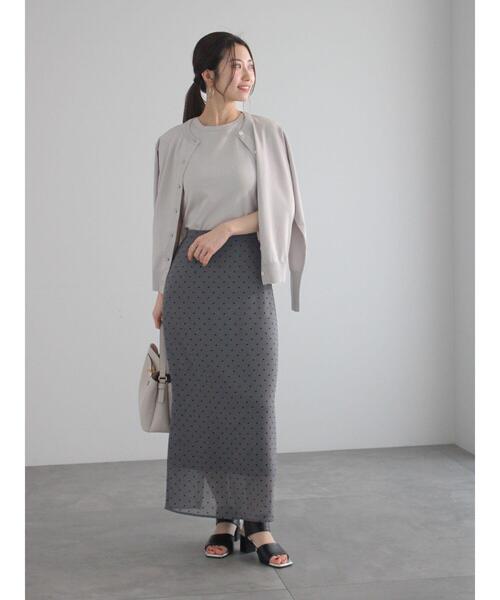 Te chichi（テチチ）の「シアードットIラインスカート（スカート・レディース・ベージュ/チャコールグレー・F）」の17枚目の写真