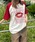 sedacleiZ_Nj́uOA\[gTEEiTVc/Jbg\[jvbbh