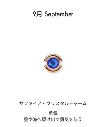 Daniel Wellington（ダニエルウェリントン）の「Birthday Charm 誕生石 チャーム　ローズゴールド（チャーム）」