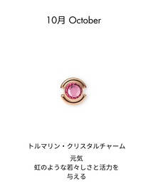 Daniel Wellington（ダニエルウェリントン）の「Birthday Charm 誕生石 チャーム　ローズゴールド（チャーム）」