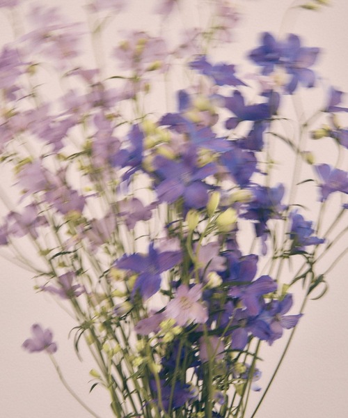 VIS（ビス）の「【DILIGENCE PARLOUR】VIS別注モデルローズ刺繍ポロケーブルニット【セットアップ対応】（ニット/セーター・レディース・ベージュ系その他/ネイビー・FREE）」の10枚目の写真