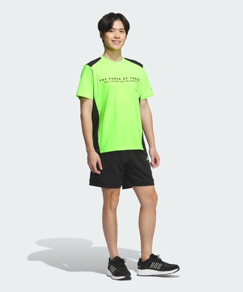 セール】ADPTN レギュラーフィット ホリゾンタルストライプス