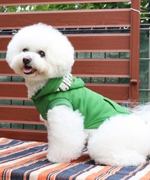 KRIFF MAYER(NtC[)́y₷zDOGTKhJp[J[(t[hS)(ybgEFA)