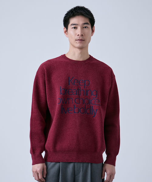B.C STOCK(ベーセーストック)の「モール アソートロゴ クルーネックニット(ニット/セーター・メンズ・ブルー系その他/チャコールグレー/ボルドー/ホワイト・LARGE/MEDIUM)」の18枚目の写真