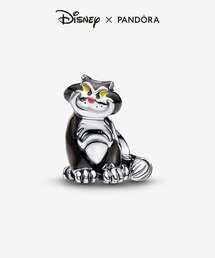 ディズニー ピクサー トイ・ストーリー スリンキー ドッグ チャーム