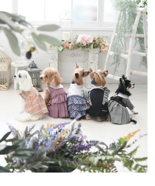 One Octave(ワンオクターヴ)の「One Octave/ワンオクターヴ/マドラスチェックワンピ/犬服(ドッグウェア)(ペットウェア・レディース・ブルー/オレンジ・S/L/2M/2L/XS/M)」の8枚目の写真