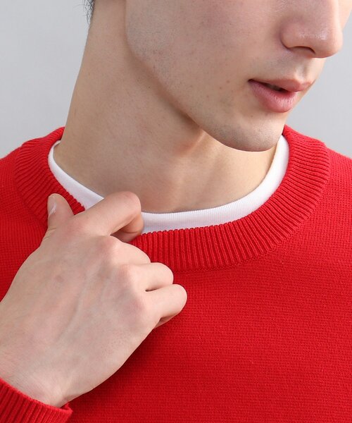 THE SHOP TK （ザ ショップ ティーケー ）の「◆スウェットライクニットプルオーバー（ニット/セーター・メンズ・ベージュ/ネイビー/グレー/レッド系1/ダークグリーン・04/03/02）」の20枚目の写真