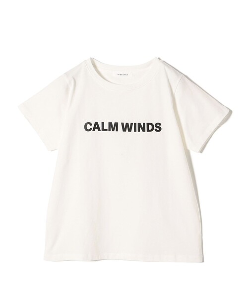 +81BRANCA(ハチイチブランカ)の「【SHIPS別注】81BRANCA:バリエーション ロゴ TEE ◇(Tシャツ/カットソー・レディース・オフホワイト/ストーン/ライトグレー/ブラウン・ONE SIZE)」の10枚目の写真