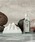 DULTON�i�_���g���j�́uICE ROCK DIFFUSER/���[���t���O�����X�i���[���t���O�����X/�����j�v�bM